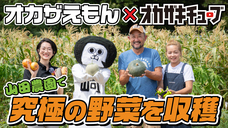 一般社団法人　岡崎市観光協会のプレスリリース画像1