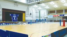 株式会社デルフィーノスポーツのプレスリリース画像1