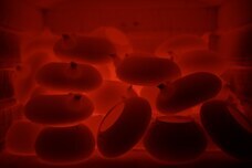 EFRICAのプレスリリース画像1