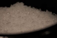 株式会社関農園のプレスリリース画像10