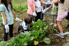 株式会社ウィズダムアカデミーのプレスリリース画像3