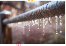 株式会社ウィズダムアカデミーのプレスリリース画像5