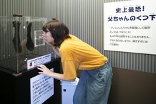 株式会社ニジゲンノモリのプレスリリース画像3