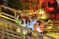 株式会社ニジゲンノモリのプレスリリース画像2