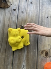 株式会社ニジゲンノモリのプレスリリース画像2