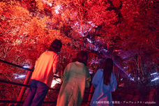 株式会社ニジゲンノモリのプレスリリース画像2