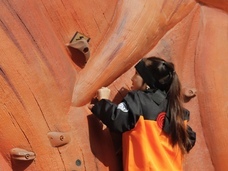 株式会社ニジゲンノモリのプレスリリース画像2