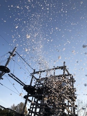 株式会社ニジゲンノモリのプレスリリース画像2