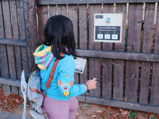 株式会社ニジゲンノモリのプレスリリース画像1