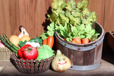 株式会社ニジゲンノモリのプレスリリース画像2