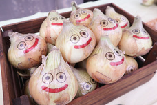 株式会社ニジゲンノモリのプレスリリース画像1