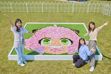 株式会社ニジゲンノモリのプレスリリース画像1