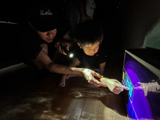 株式会社ニジゲンノモリのプレスリリース画像1