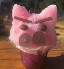 株式会社ニジゲンノモリのプレスリリース画像2