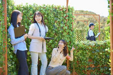 株式会社ニジゲンノモリのプレスリリース画像1