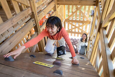 株式会社ニジゲンノモリのプレスリリース画像1