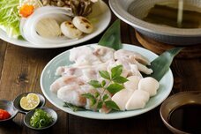 株式会社ニジゲンノモリのプレスリリース画像5