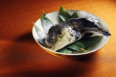 株式会社ニジゲンノモリのプレスリリース画像6