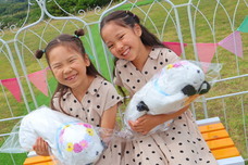 株式会社ニジゲンノモリのプレスリリース画像2