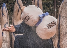 株式会社ニジゲンノモリのプレスリリース画像2