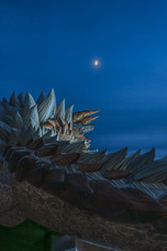 株式会社ニジゲンノモリのプレスリリース画像4