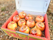 株式会社ニジゲンノモリのプレスリリース画像2