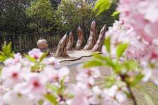 株式会社ニジゲンノモリのプレスリリース画像2