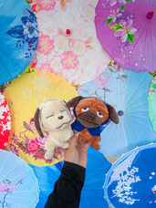 株式会社ニジゲンノモリのプレスリリース画像1