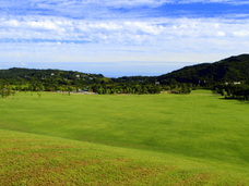 株式会社ニジゲンノモリのプレスリリース画像1