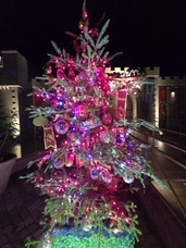 株式会社ニジゲンノモリのプレスリリース画像1