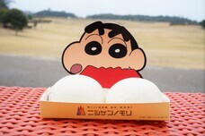 株式会社ニジゲンノモリのプレスリリース画像1