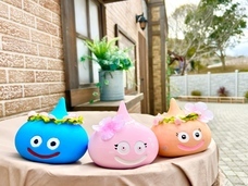 株式会社ニジゲンノモリのプレスリリース画像1