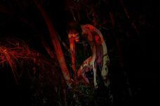 株式会社ニジゲンノモリのプレスリリース画像2