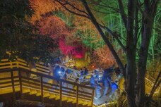 株式会社ニジゲンノモリのプレスリリース画像4