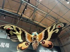 株式会社ニジゲンノモリのプレスリリース画像2