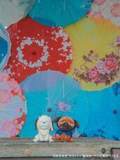 株式会社ニジゲンノモリのプレスリリース画像3