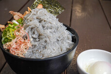 株式会社ニジゲンノモリのプレスリリース画像1