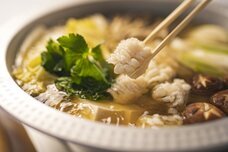 株式会社ニジゲンノモリのプレスリリース画像1