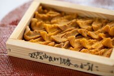 株式会社ニジゲンノモリのプレスリリース画像7