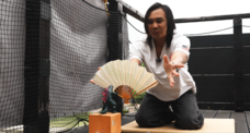 株式会社ニジゲンノモリのプレスリリース画像3