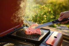 株式会社ニジゲンノモリのプレスリリース画像1