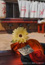 株式会社ニジゲンノモリのプレスリリース画像4
