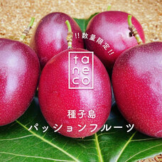 株式会社シンティトロのプレスリリース画像1