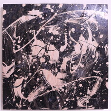 林尚紀のプレスリリース画像1