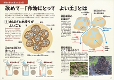 株式会社群羊社のプレスリリース画像4