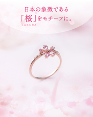 株式会社ルアナのプレスリリース画像1