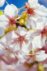 株式会社メイクスのプレスリリース画像7