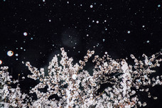 株式会社メイクスのプレスリリース画像6