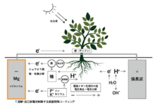 株式会社ニソールのプレスリリース画像1