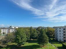 株式会社エムディーのプレスリリース画像4